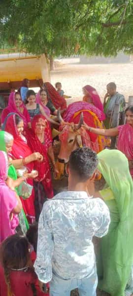 अधिकमास में गौपूजन कर महिलाओं ने मांगी सुख समृद्धि