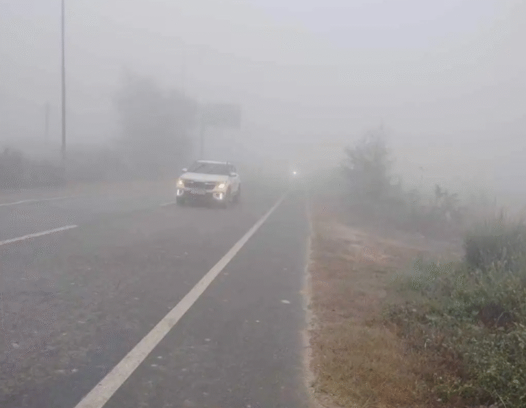 Screenshot 2025 11 11 120014