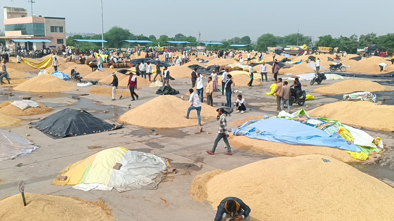 बूंदी मंडी में किसान आंदोलन का नया मोड़: किसानों ने कहा—‘फसल हमारी, फैसला हमारा’