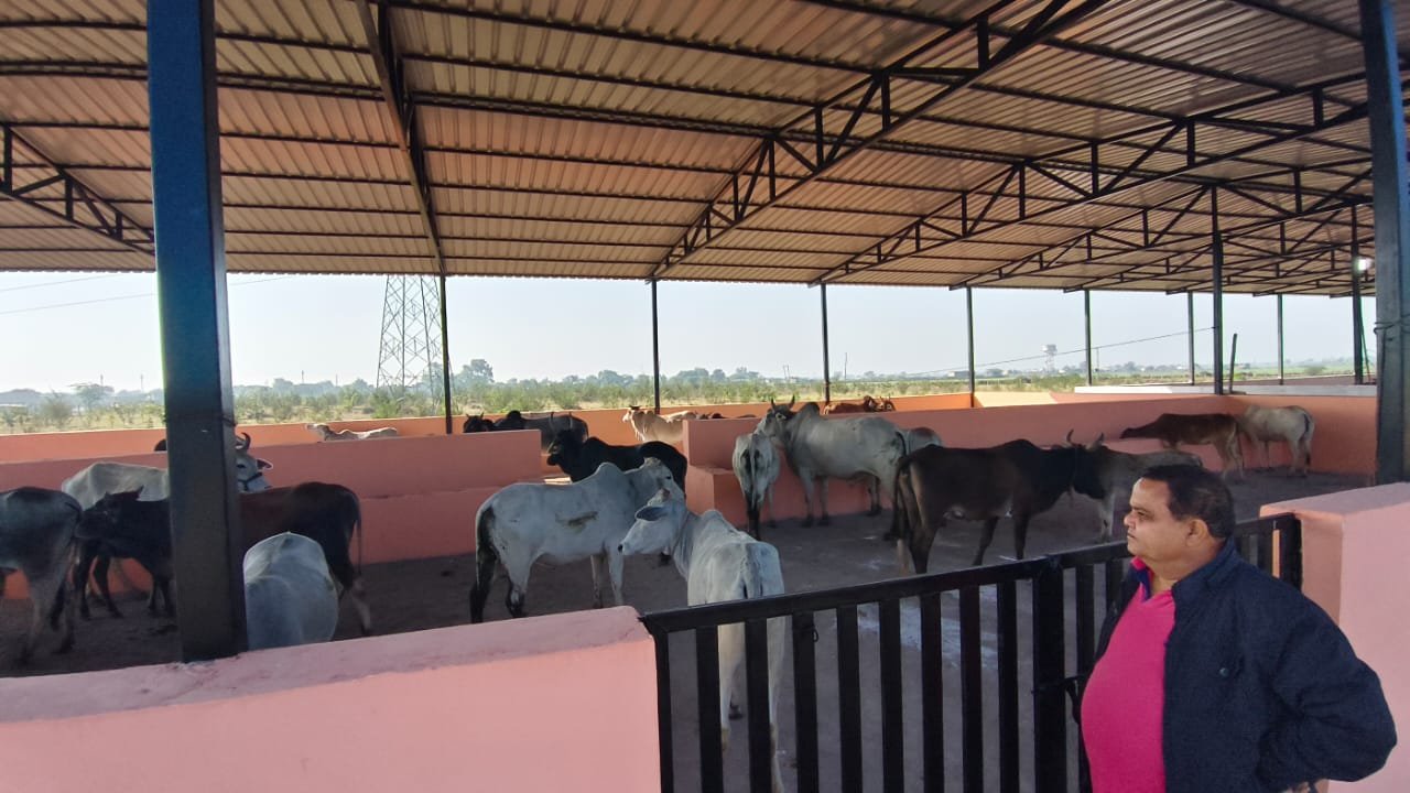 Neelkanth Nandi Gaushala 2025: अंता नगर में गोशाला का भव्य शुभारंभ, गौ–सेवा को मिला आधुनिक स्वरूप