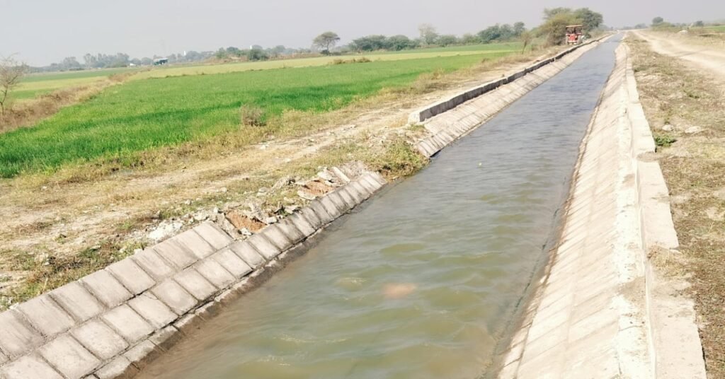 CAD Department Negligence