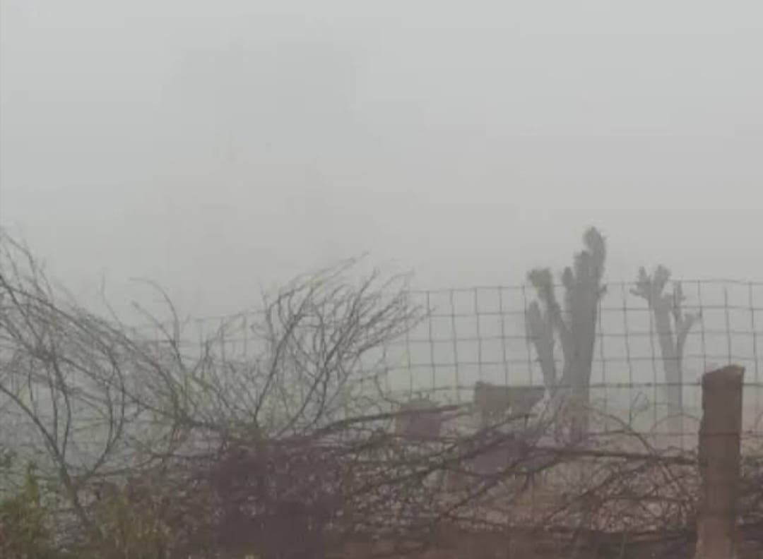 Shiv Weather: शिव में बदला मौसम का मिजाज, पश्चिमी विक्षोभ के असर से घना कोहरा और शीत लहर का कहर